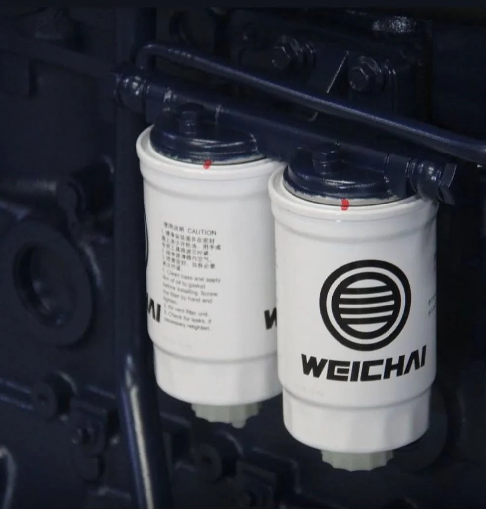 Filtros originales Weichai