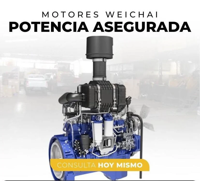 Motor Weichai completo